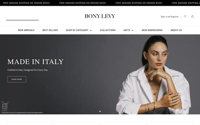 Bony Levy homepage